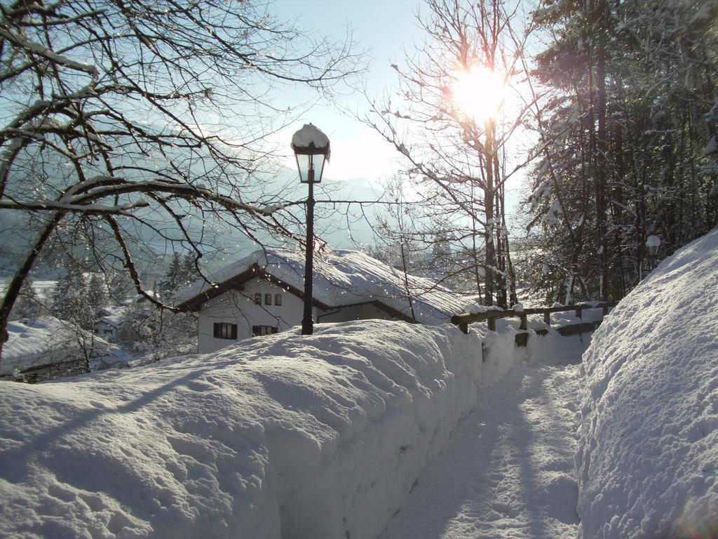 Haus Alpenlicht Apartment