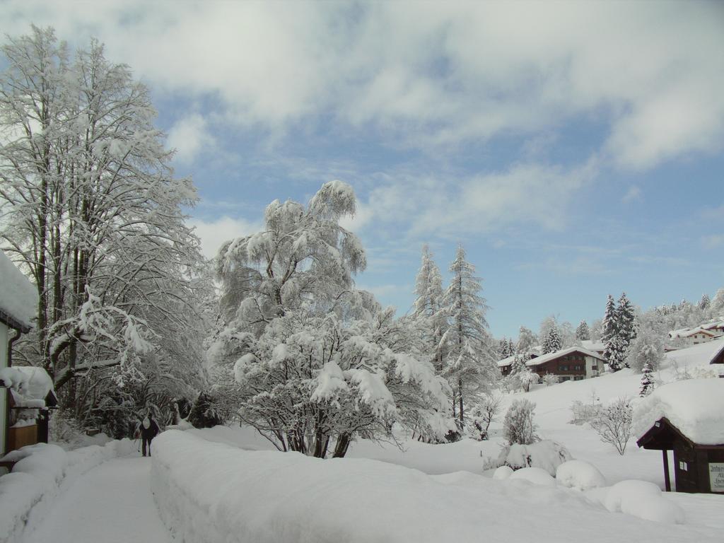 Apartment Haus Alpenlicht *