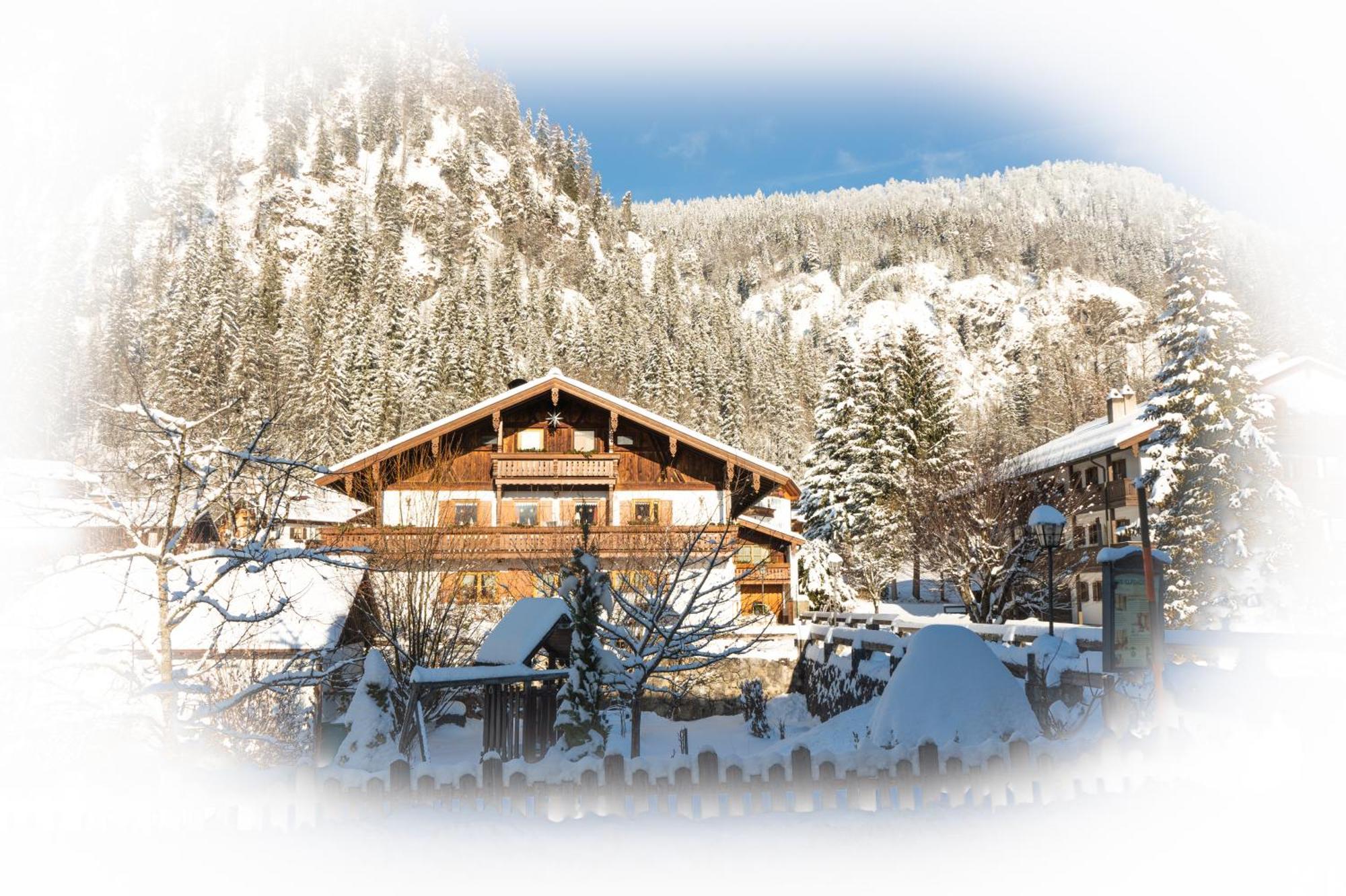 Haus Alpenlicht Apartment