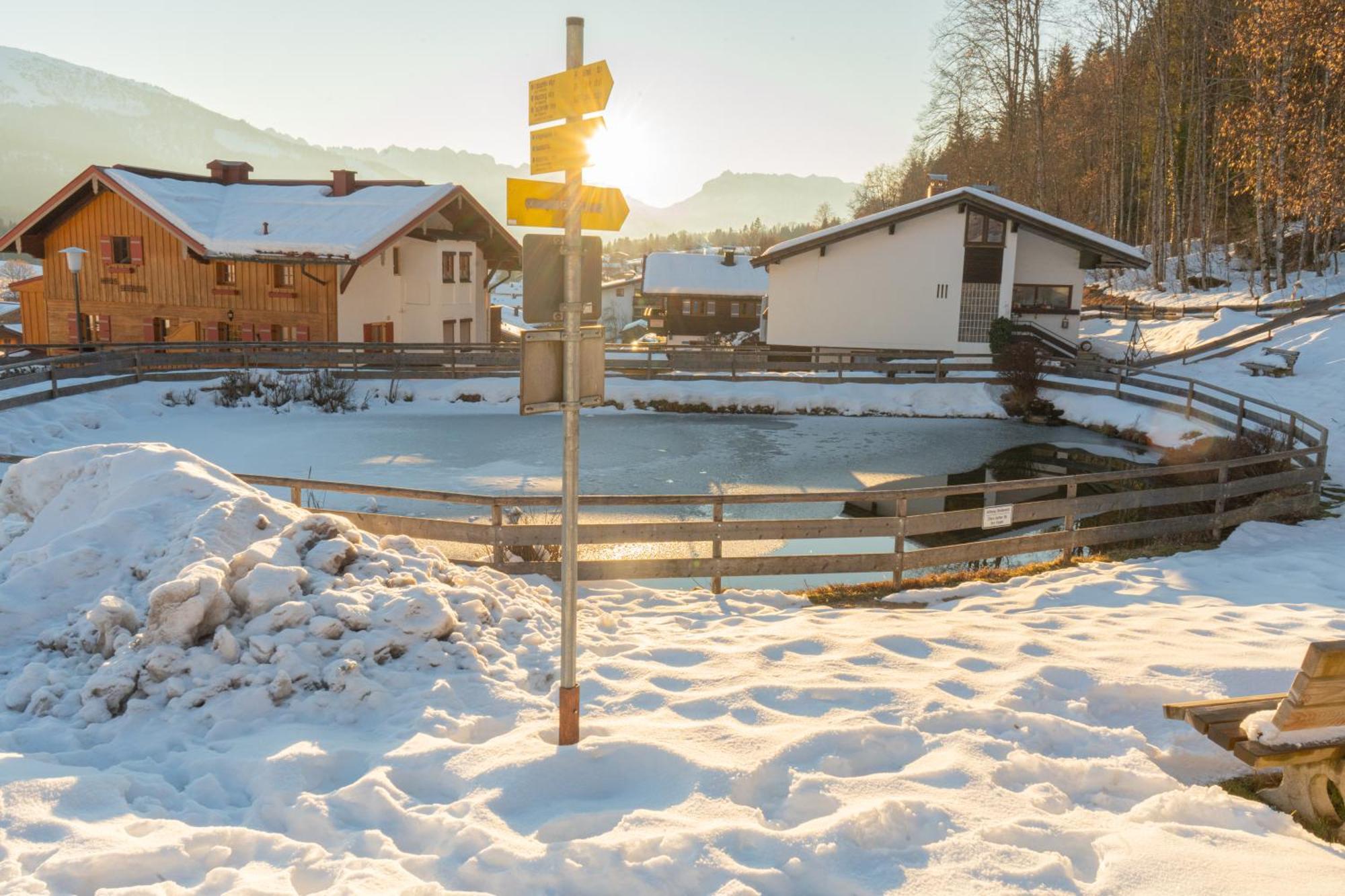 Haus Alpenlicht Апартаменты *